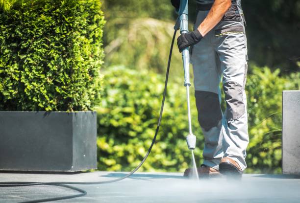 Trusted Ponderosa Park, CO Pressure Washing Services Experts